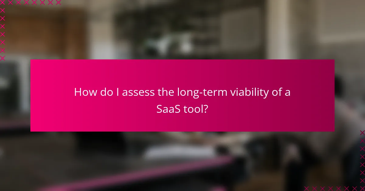 How do I assess the long-term viability of a SaaS tool?