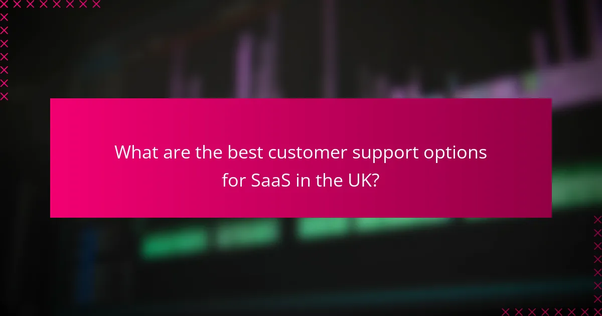 What are the best customer support options for SaaS in the UK?