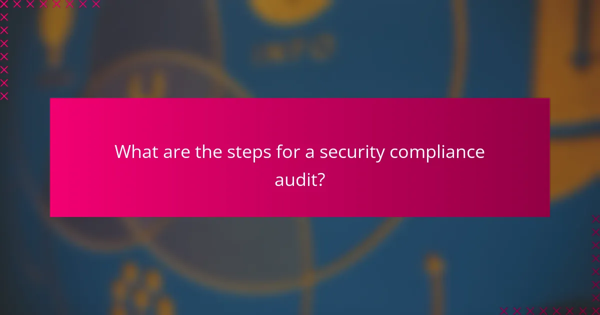What are the steps for a security compliance audit?