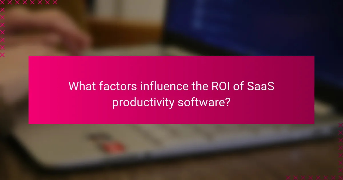 What factors influence the ROI of SaaS productivity software?